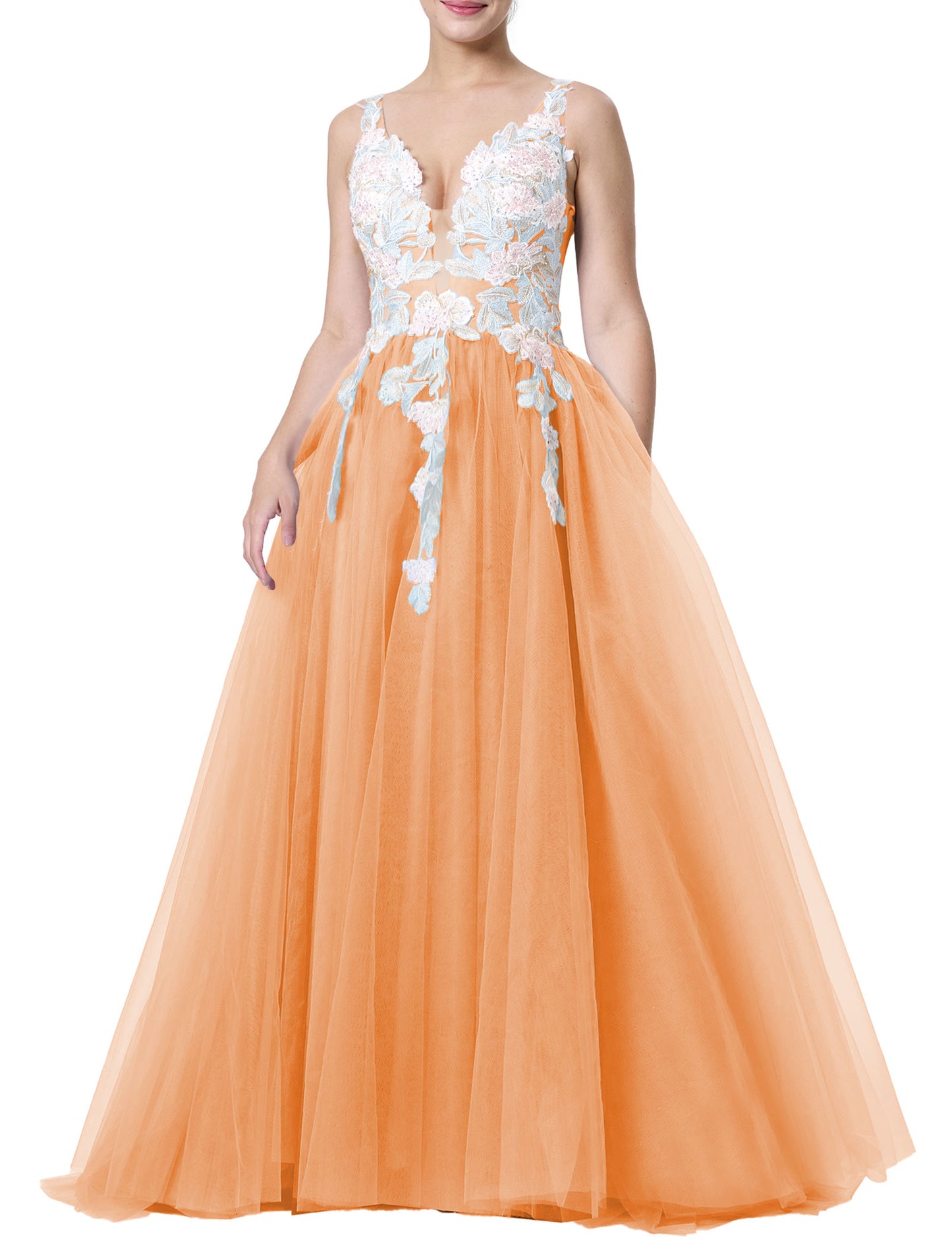 Tulle Prom Dresses V Neck Wedding Dresses Floral Embroidery Applique Quinceanera Dresses